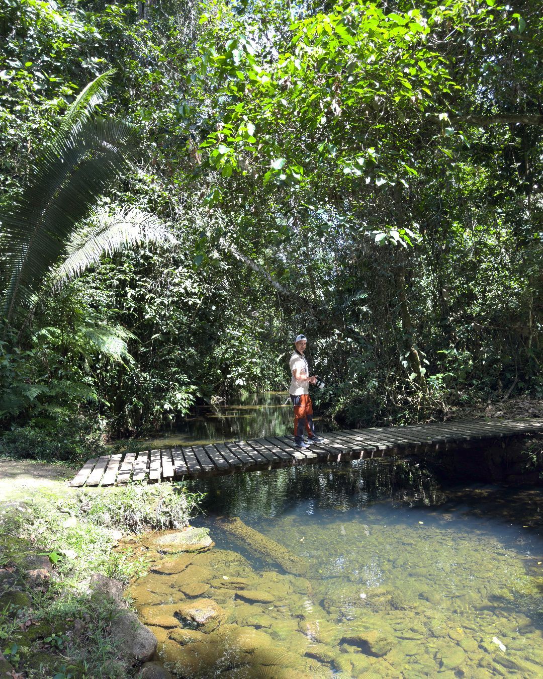 Cockscomb Basin Wildlife Sanctuary Belize