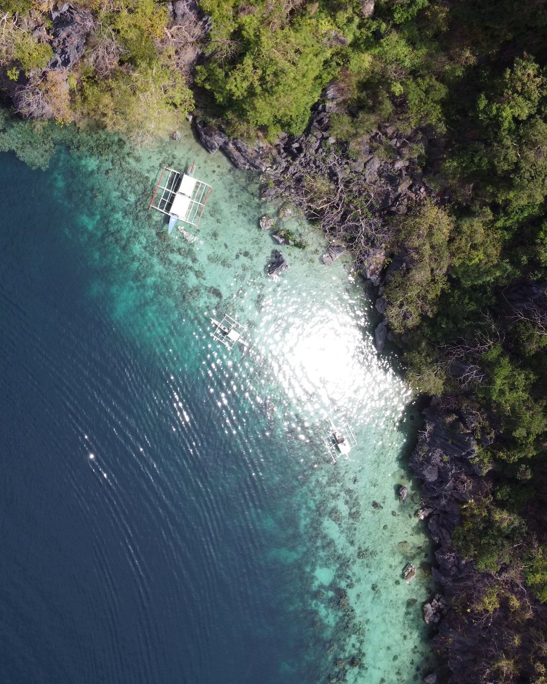 Coral Garden Coron Filippine