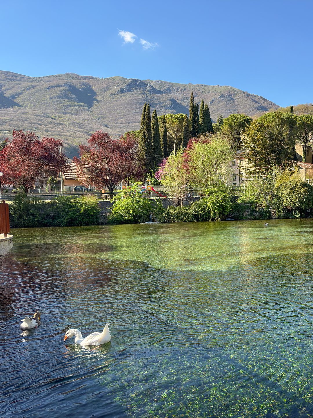 Cosa fare al lago di Canetra