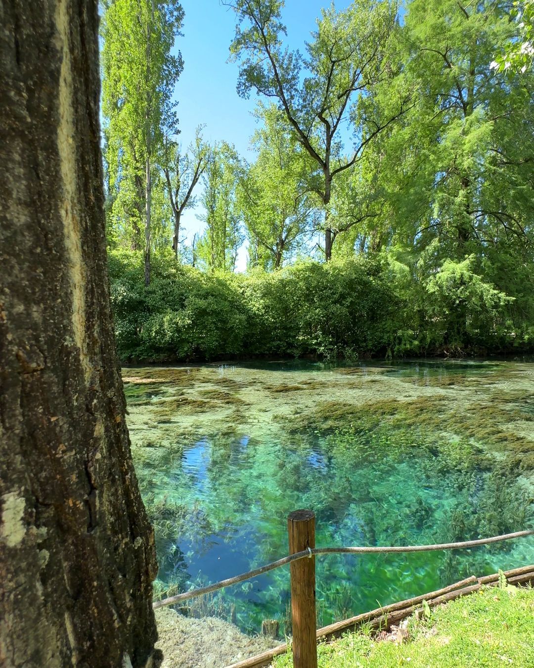 Cosa sono le Fonti del Clitunno