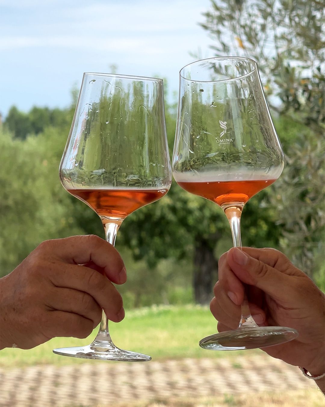 Degustazione cantina Velletri
