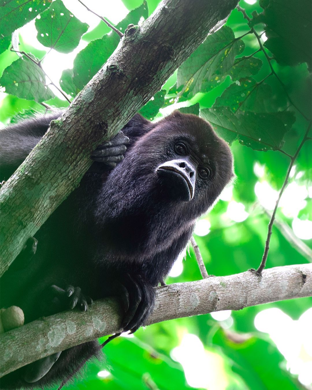 Dove andare in Belize durante la stagione secca