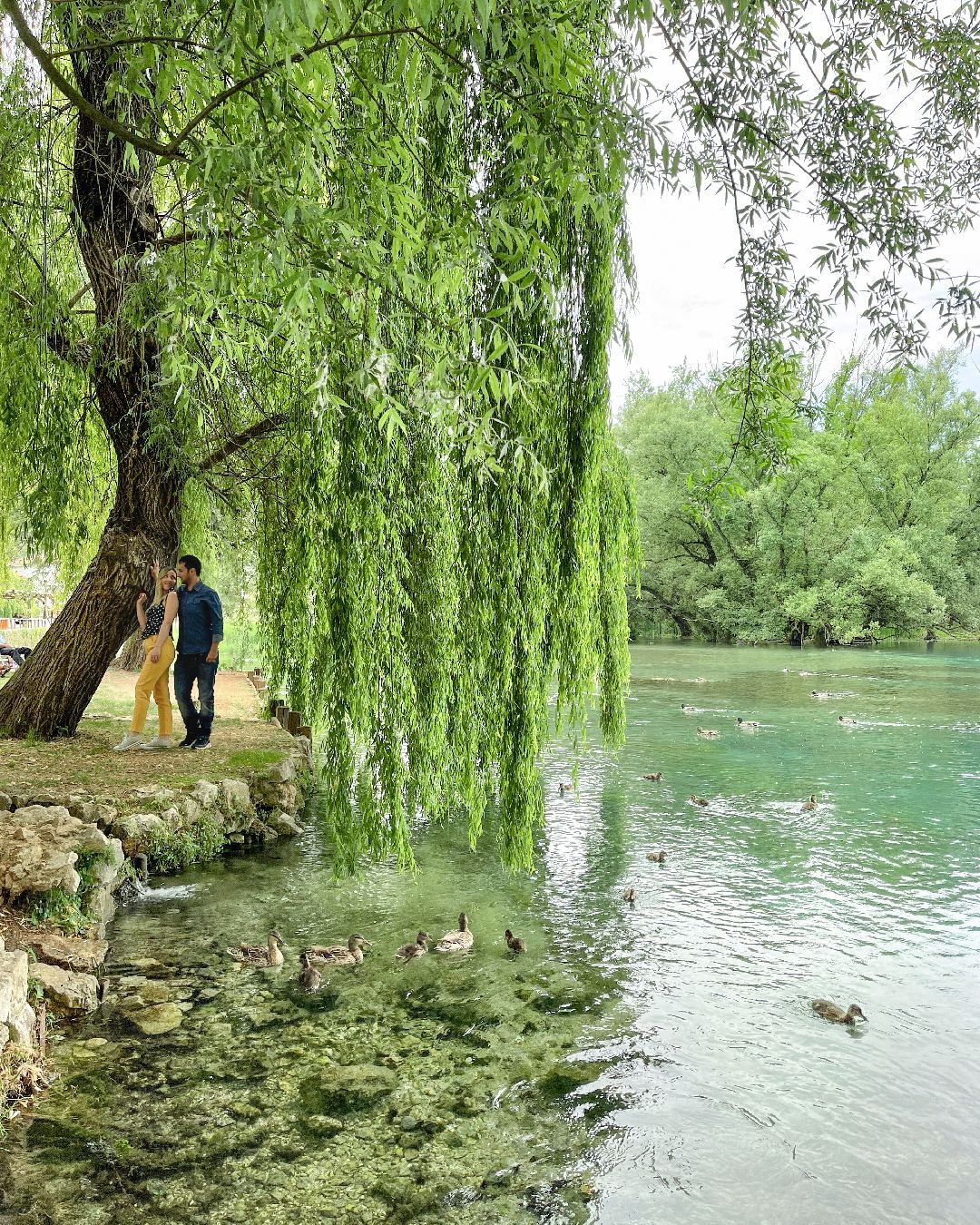 Dove si trova il lago di Posta Fibreno