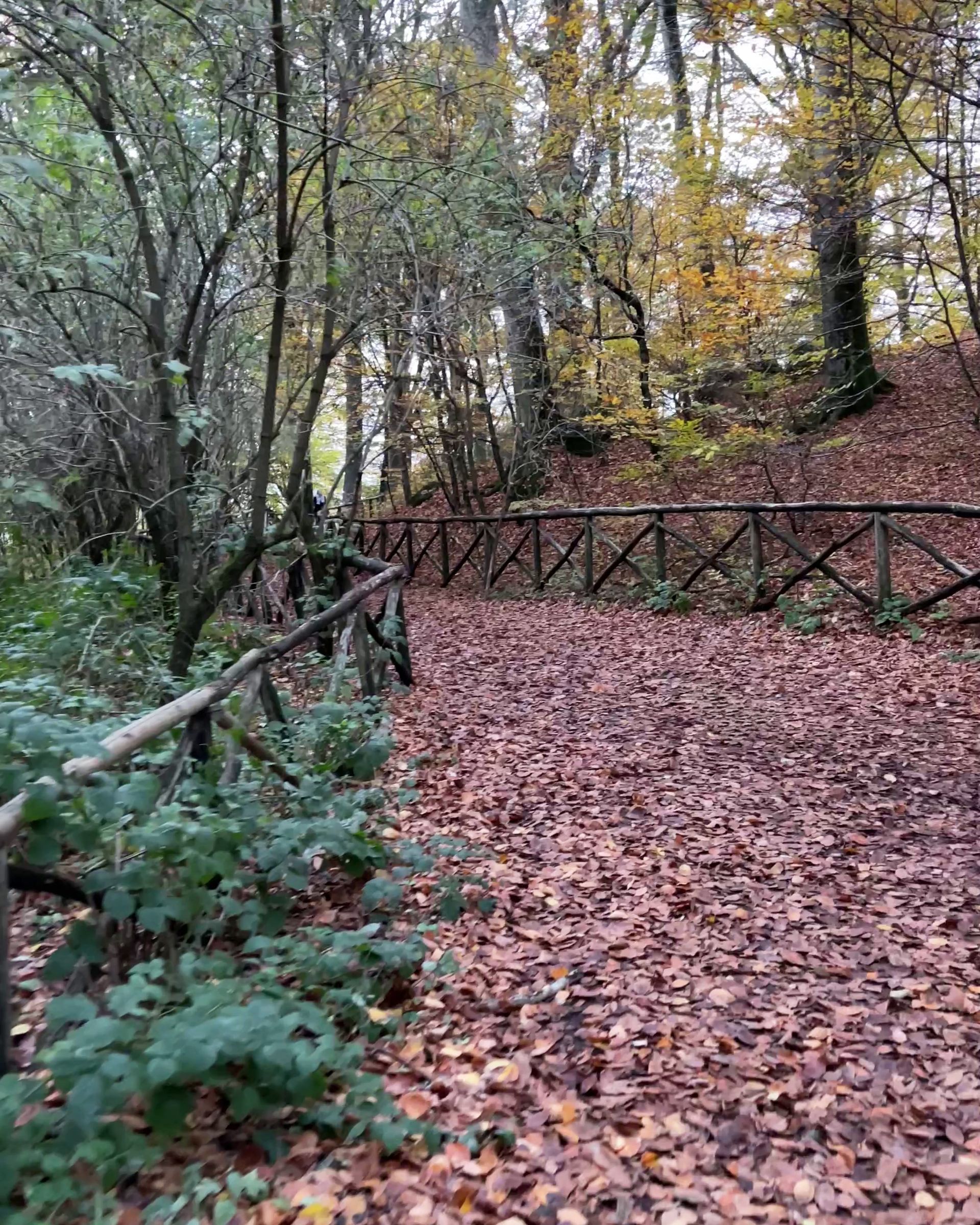 Dove vedere il foliage nel Lazio