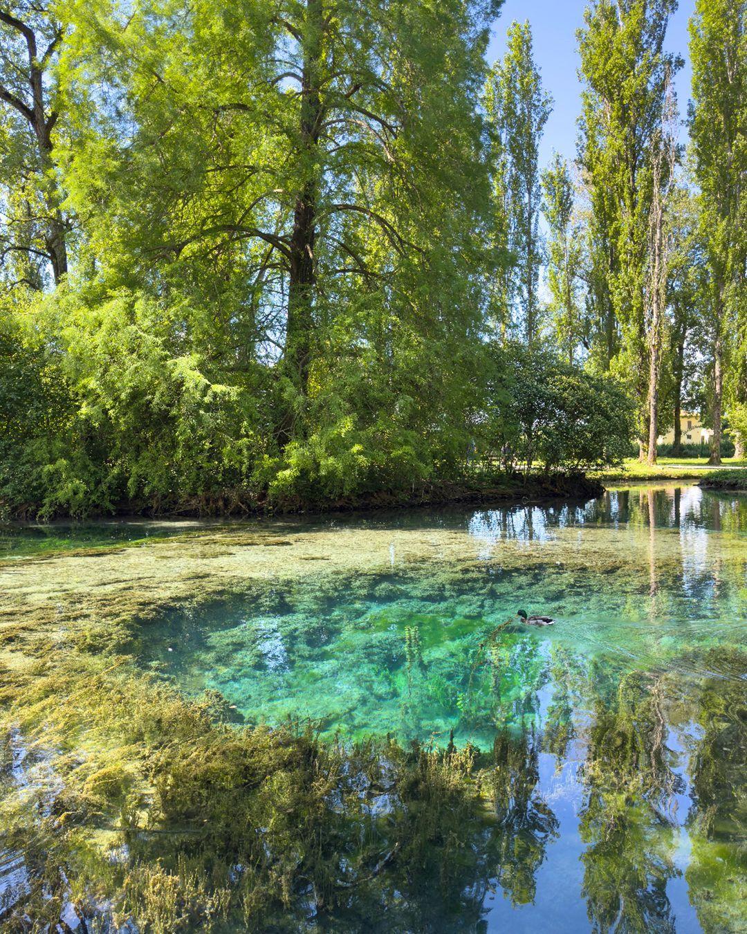 Fonti del Clitunno Umbria