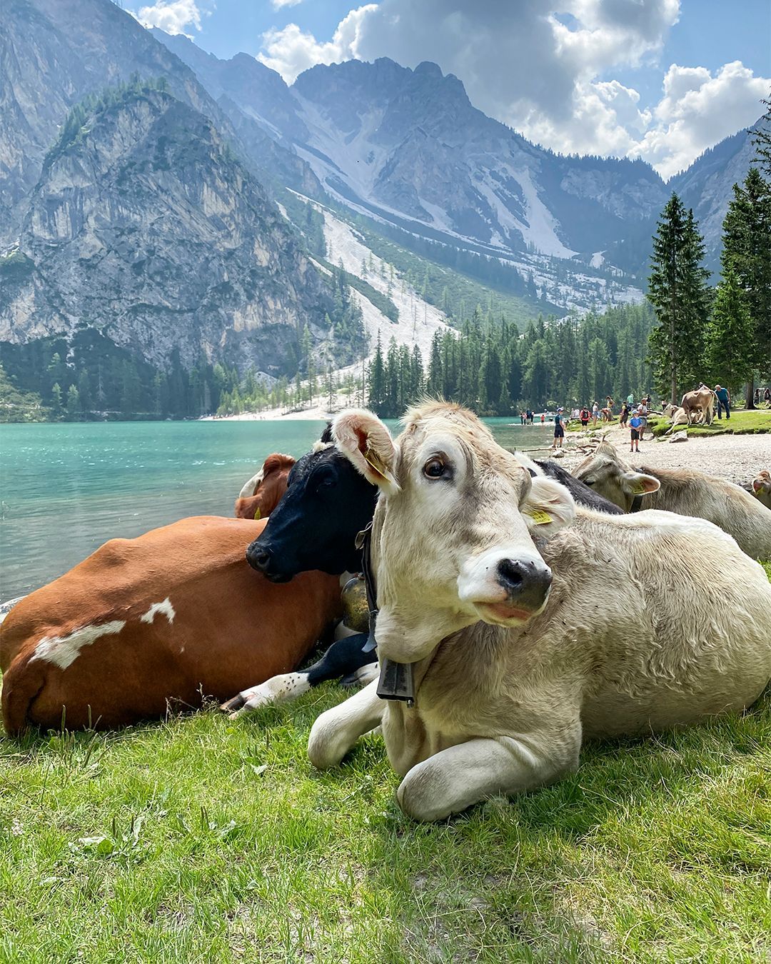 Giro del lago di Braies