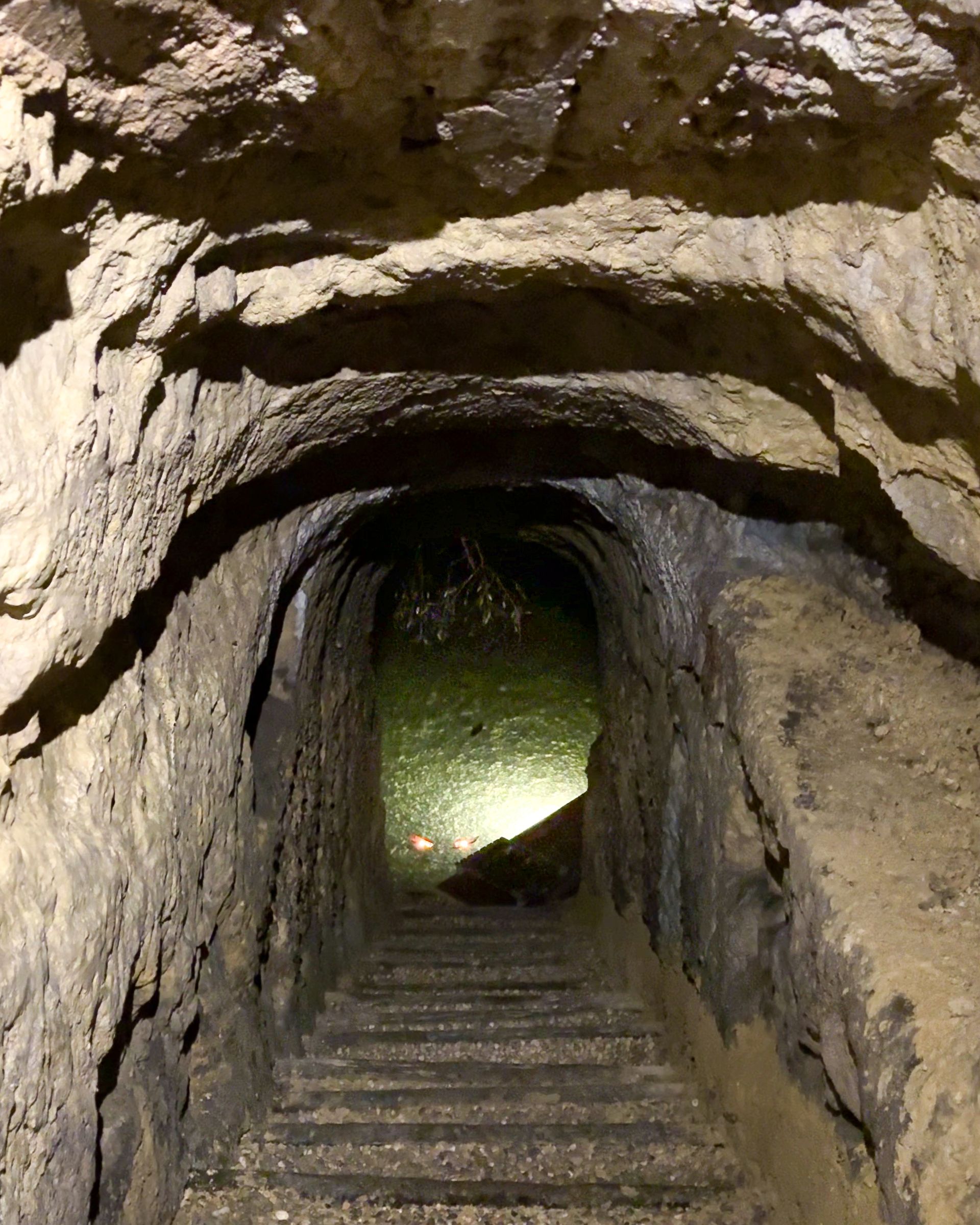 Grotta museo dell'olio della Sabina