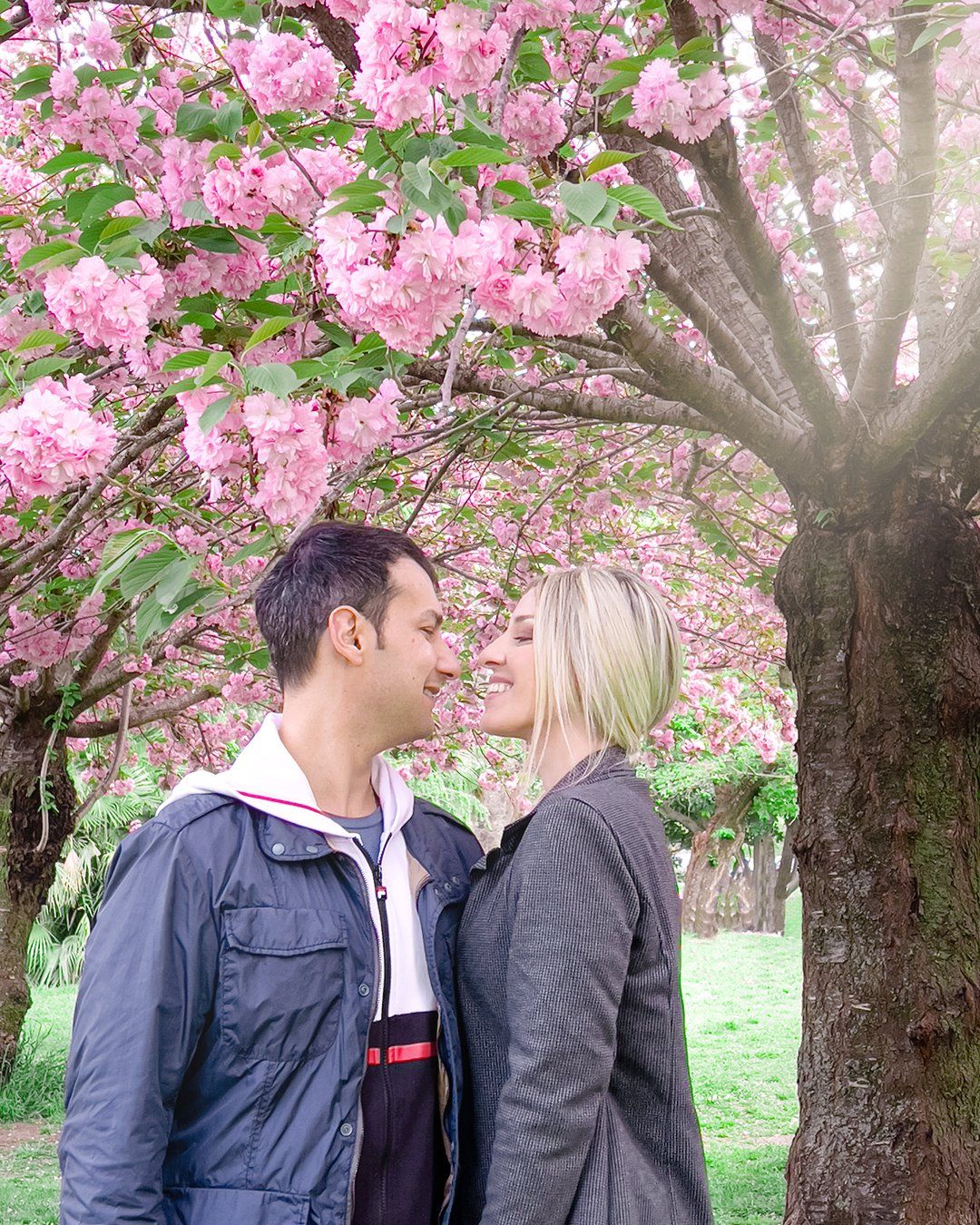 Fioritura ciliegi Roma laghetto dell'Eur