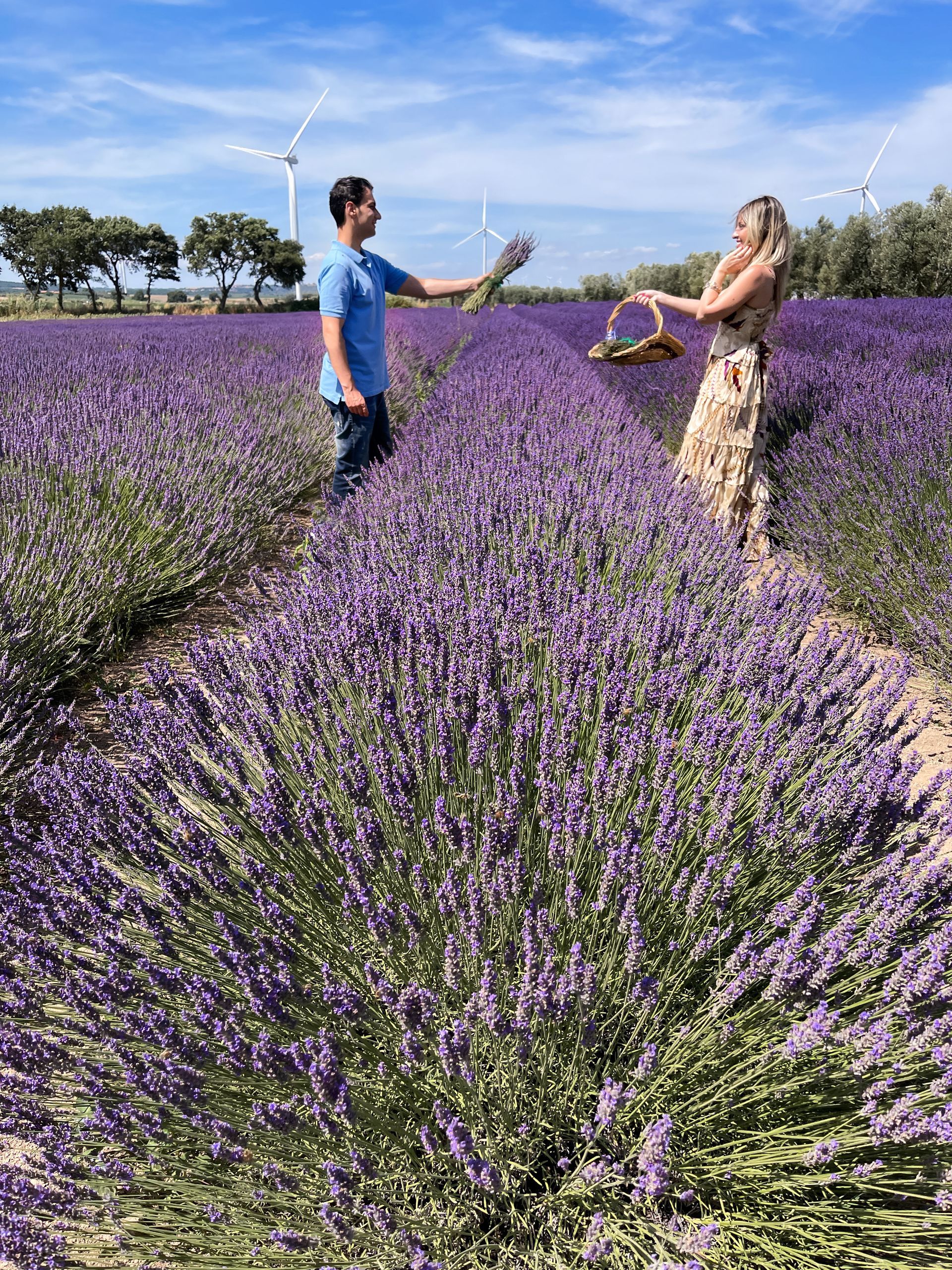 Dove vedere la lavanda nel Lazio