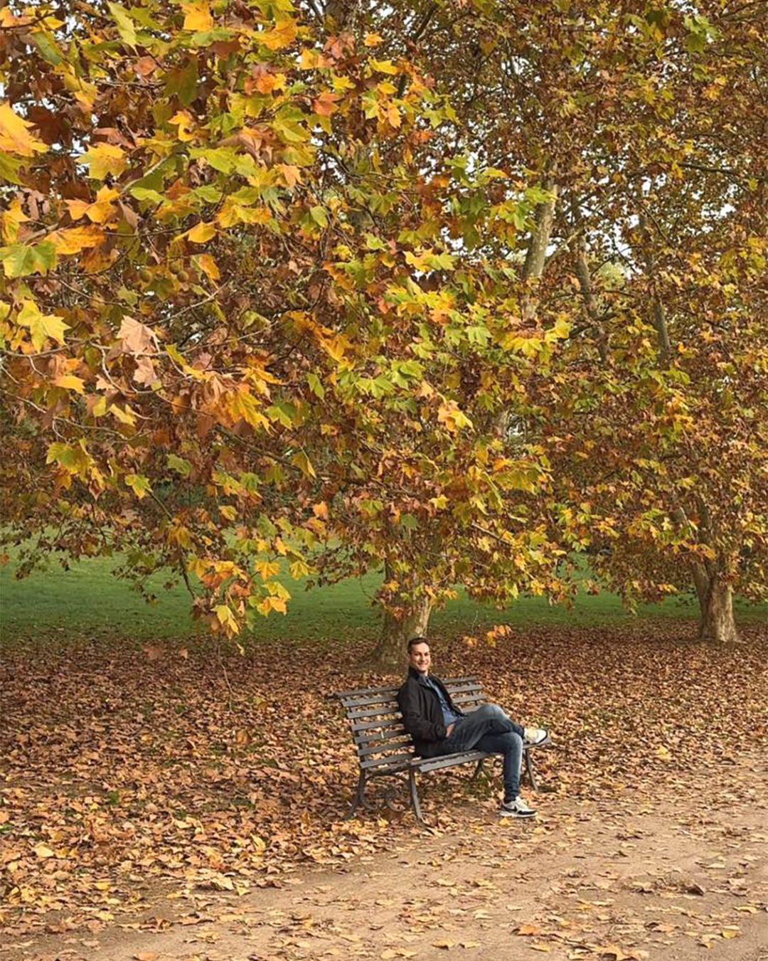 Viale alberato Villa Doria Pamphilj