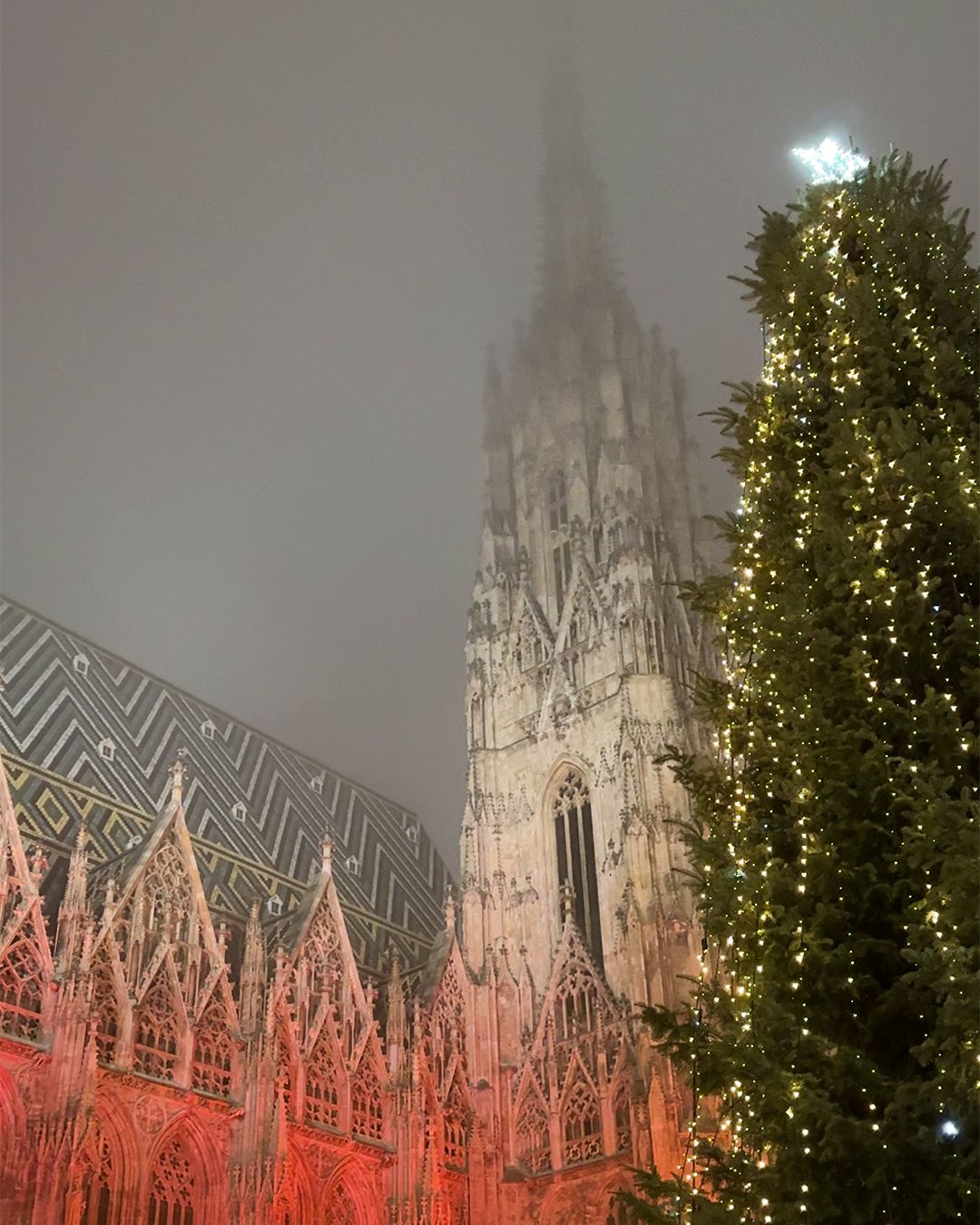 Itinerario a Vienna: duomo Stephanplatz