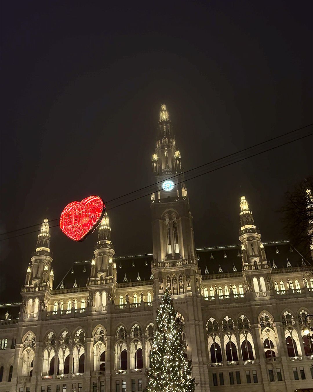 Itinerario a Vienna: Mercatino di Natale Rathausplatz cuore che vola