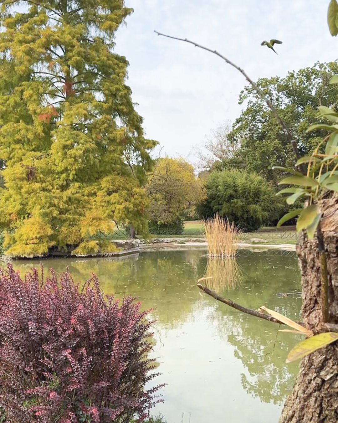Laghetto Victoria a Villa Doria Pamphilj