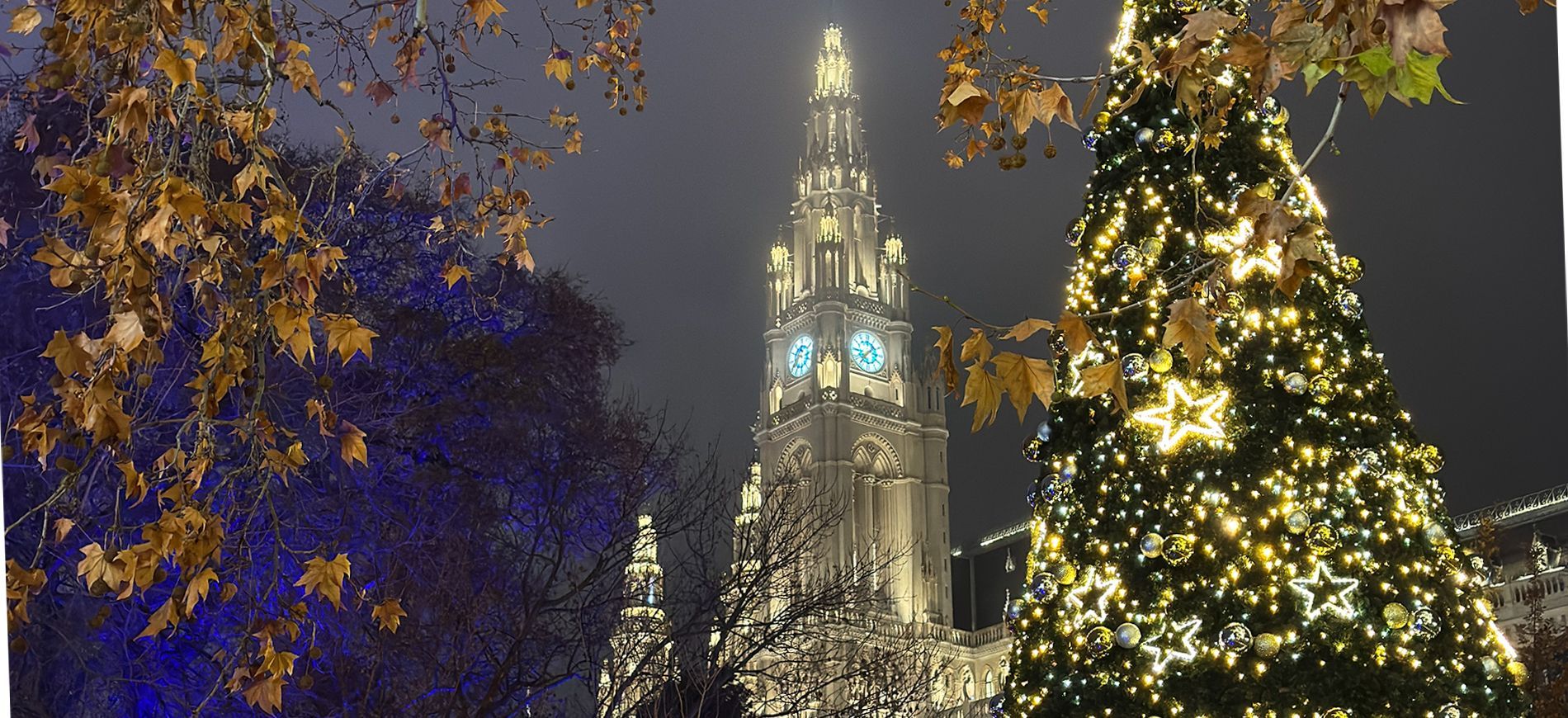 Itinerario di 4 giorni a Vienna per Natale