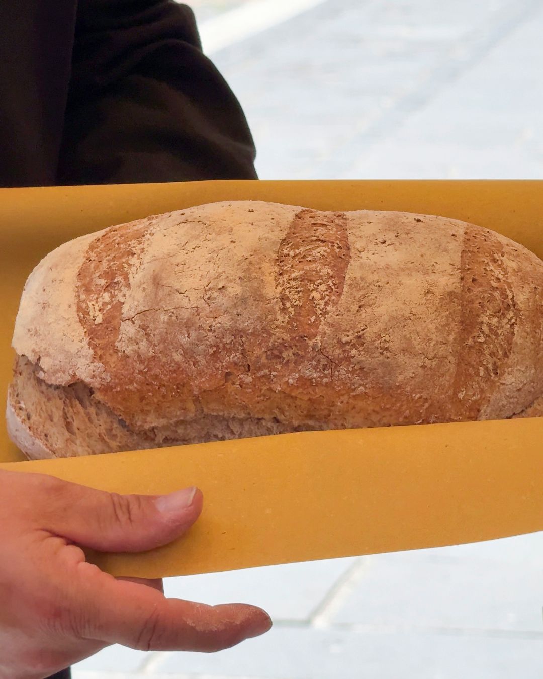 Pane di Genzano IGP