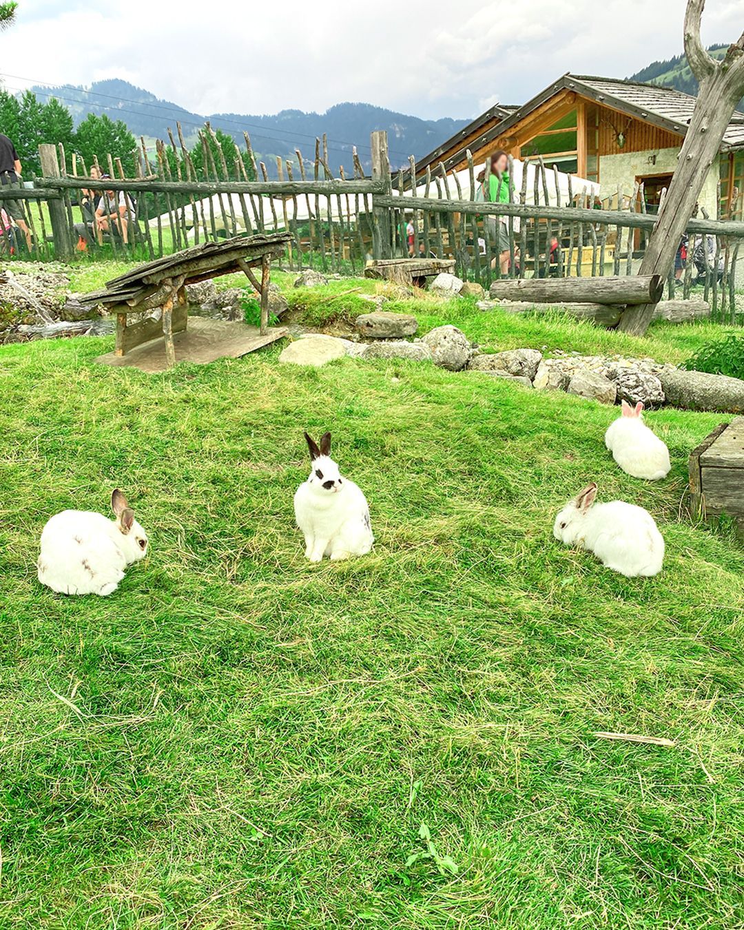 Rifugio immerso nella natura, Dolomiti