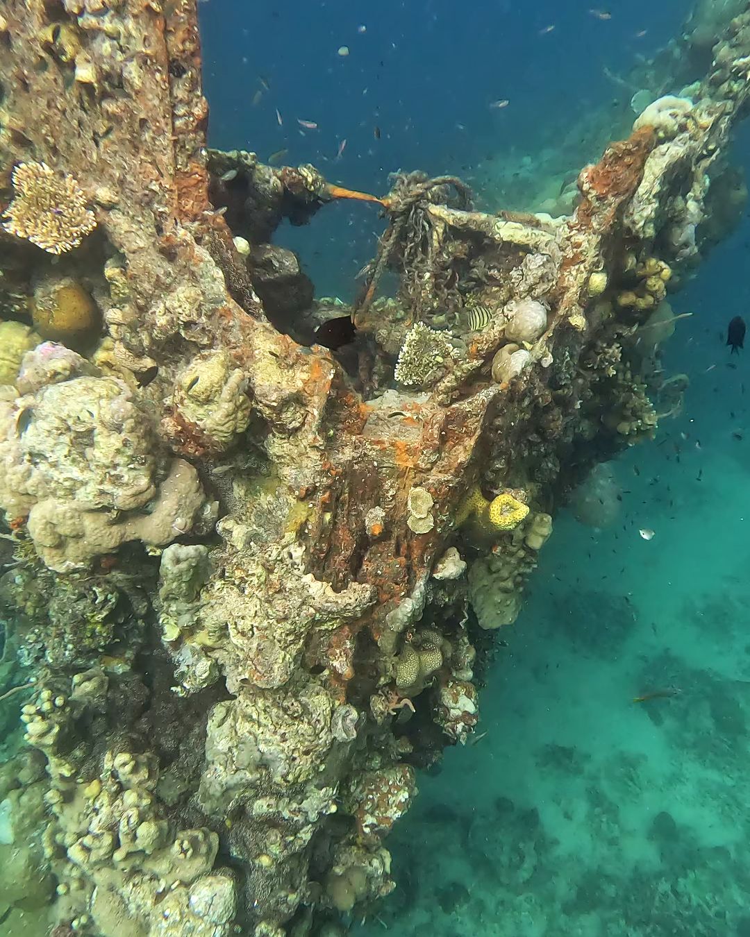 Skeleton Wreck Coron