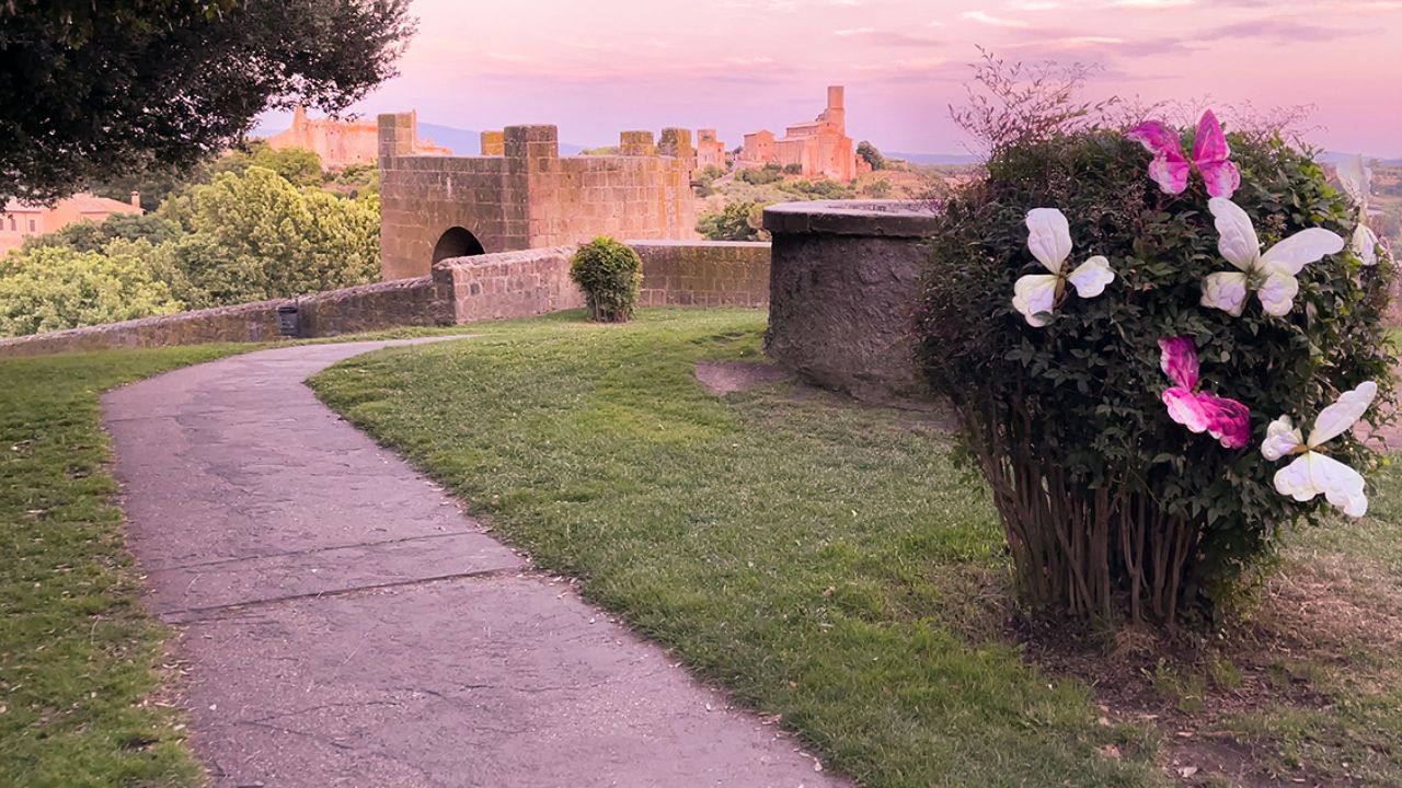 Tuscania Festa della Lavanda