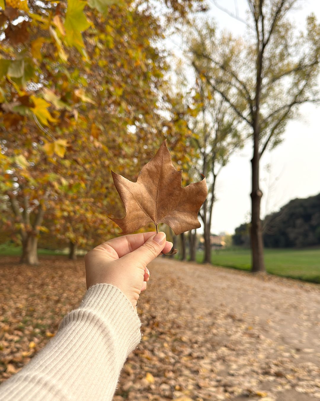 Villa Doria Pamphilj in autunno