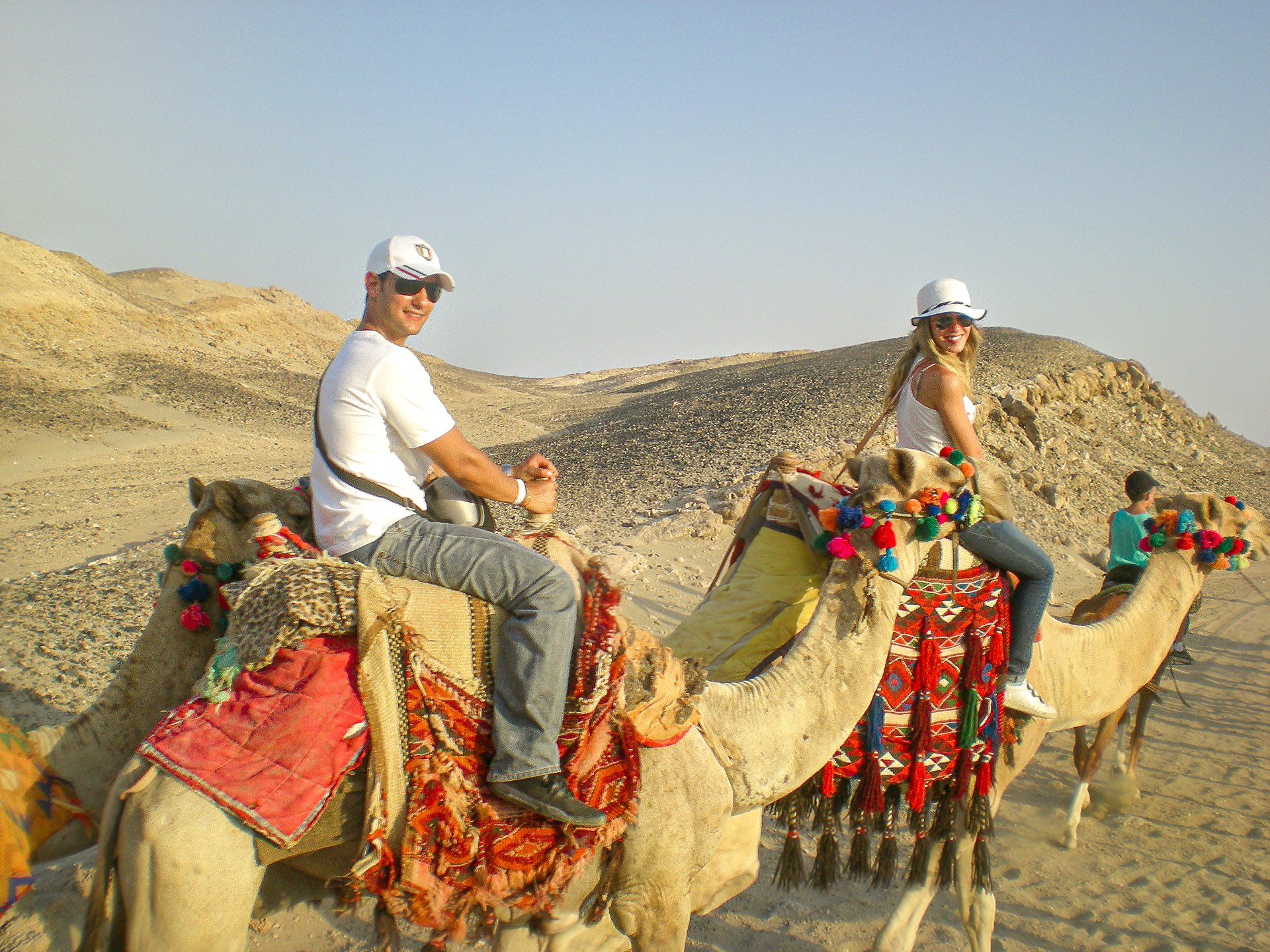 Cammellata nel deserto di Marsa Alam