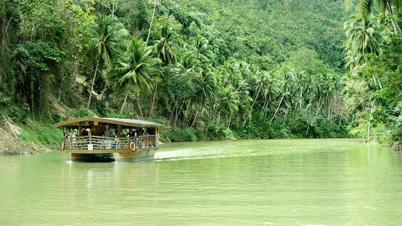 Crociera fiume Loboc Bohol