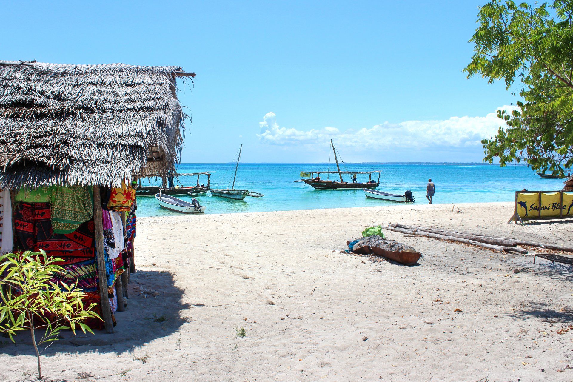 Cosa fare a Zanzibar