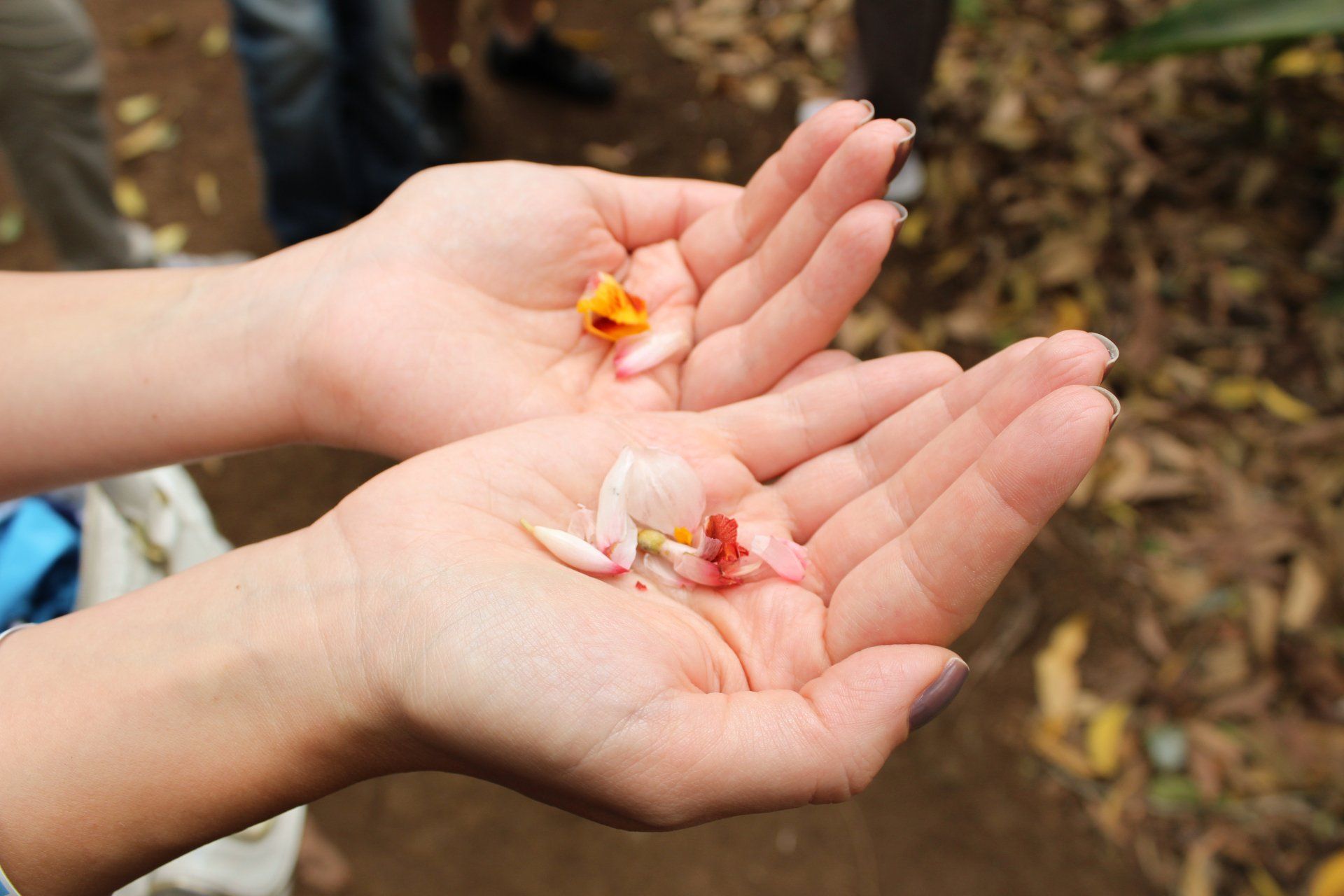 Cosa fare a Zanzibar
