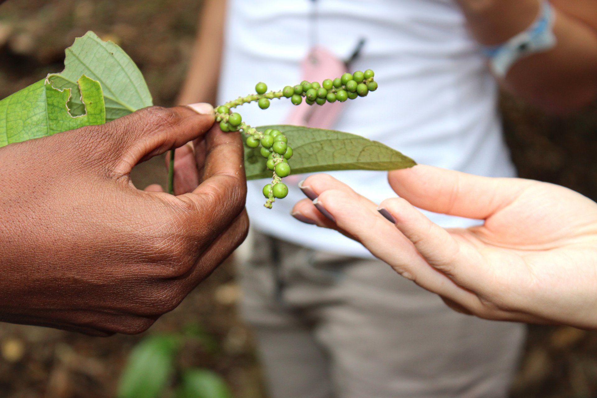 Cosa fare a Zanzibar