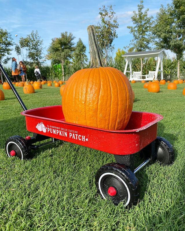 Bandiera Da Giardino Halloween 30x45 Cm Doppia Faccia - Zucche E Gatti, Decorazione Esterna Stagionale