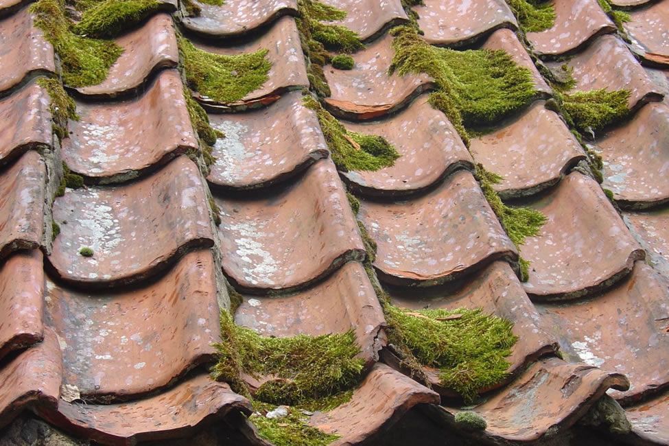 pressure wash tile roofs