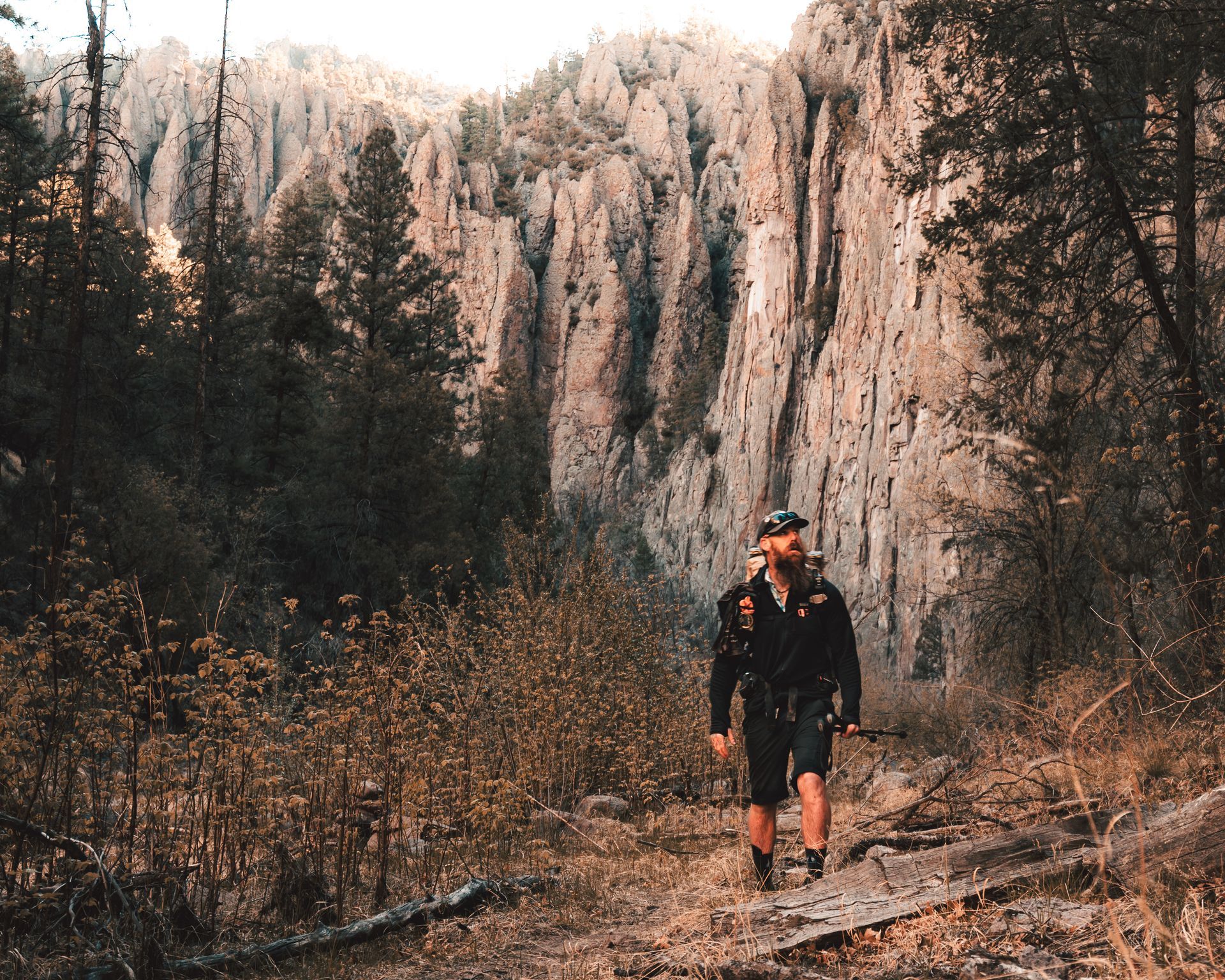 A man is walking down a path in the woods