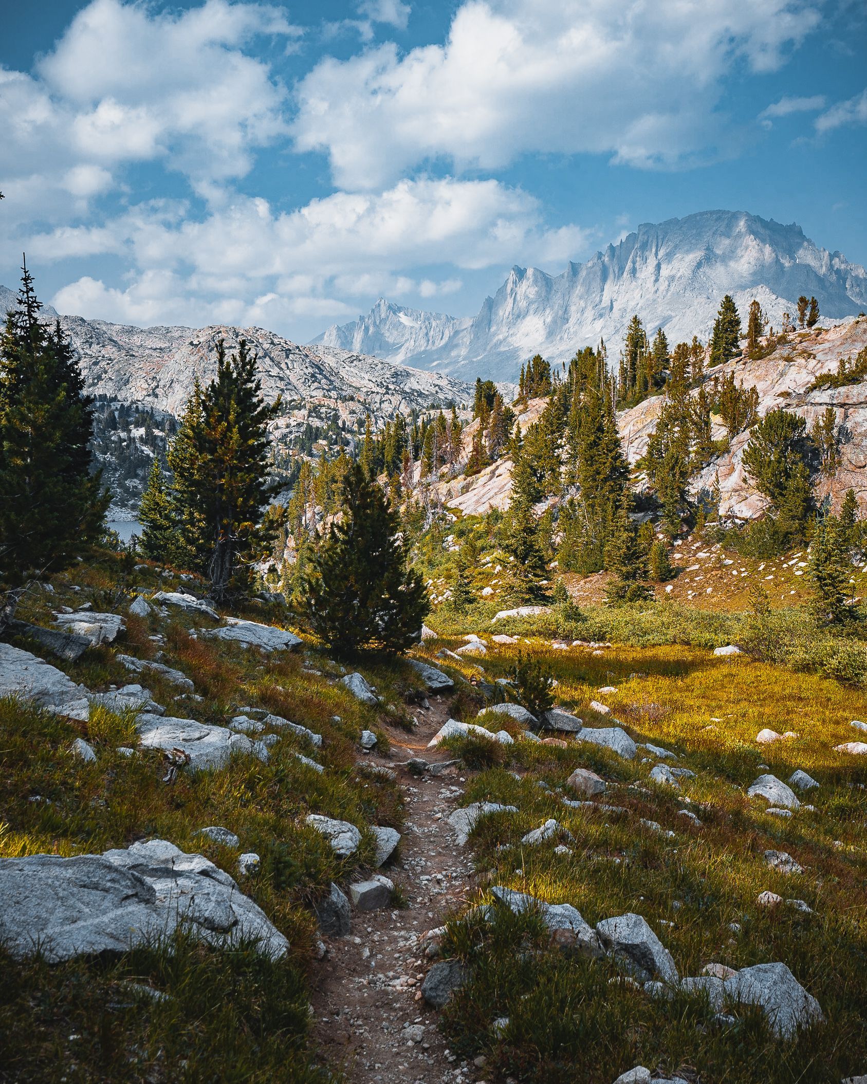 A path in the mountains with trees and rocks on a sunny day.