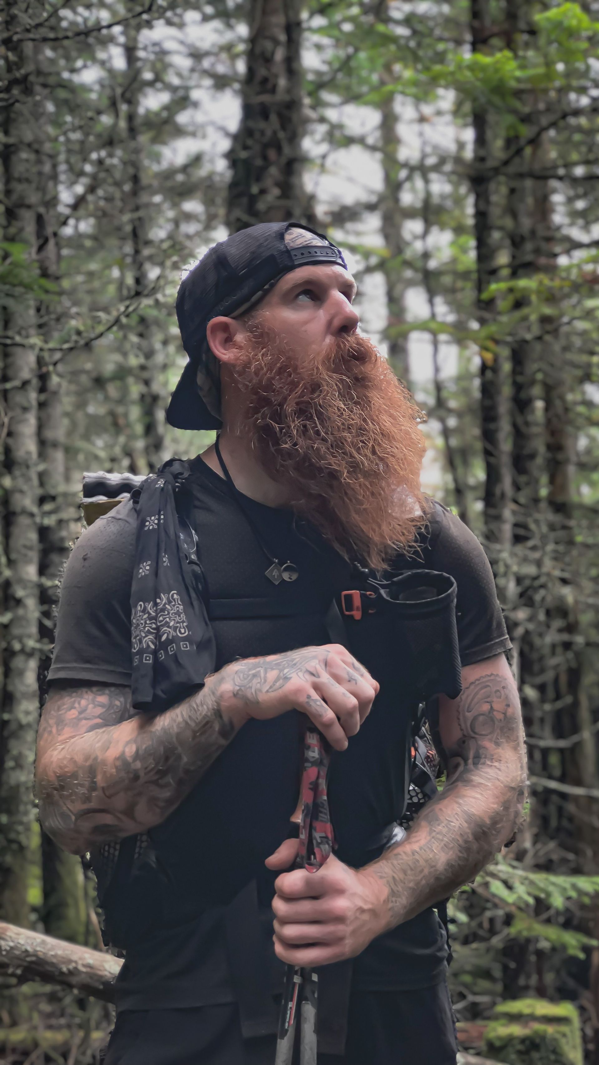 A man with a beard is holding hiking poles in the woods.