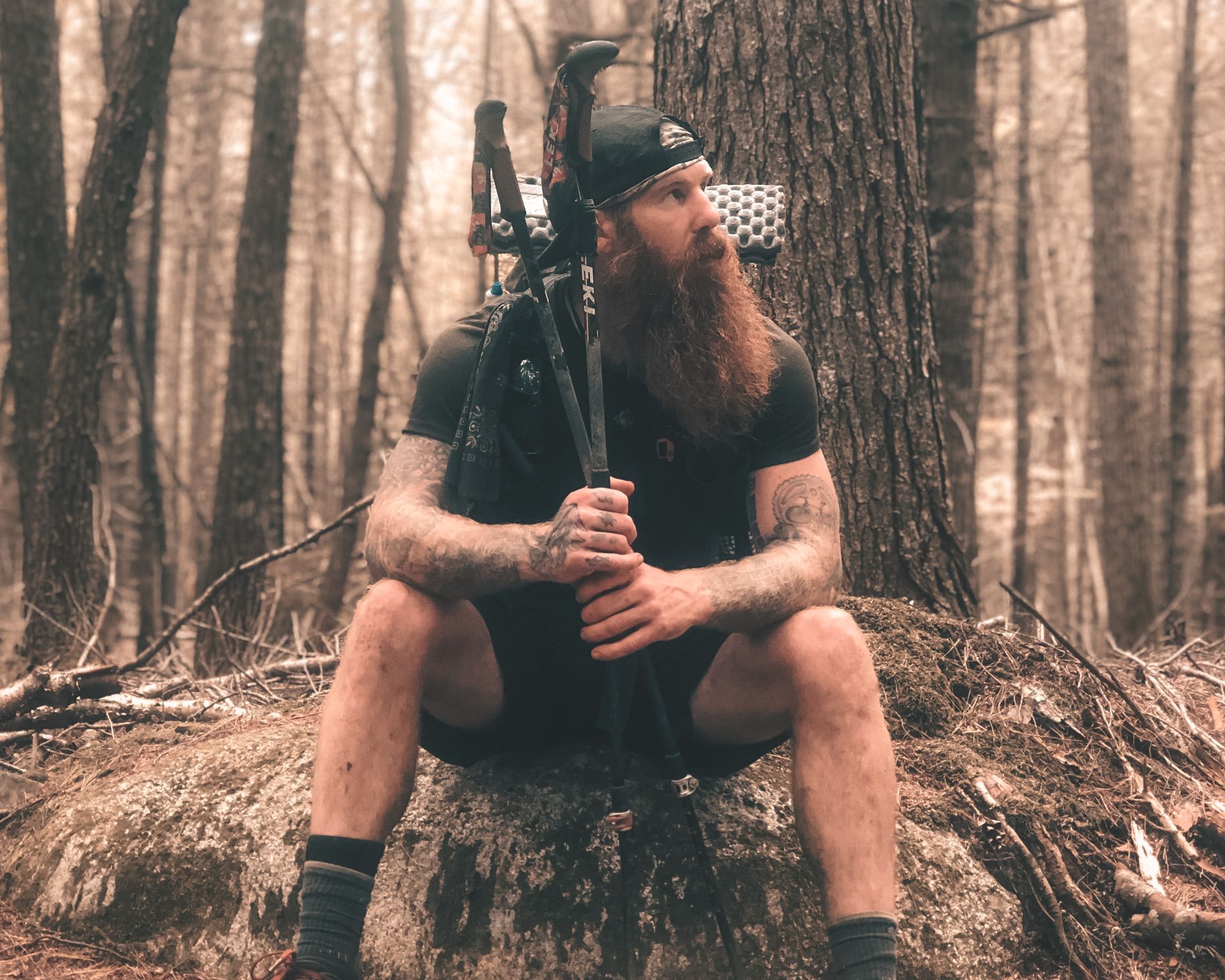 A man with a beard is sitting on a rock in the woods holding a tripod.