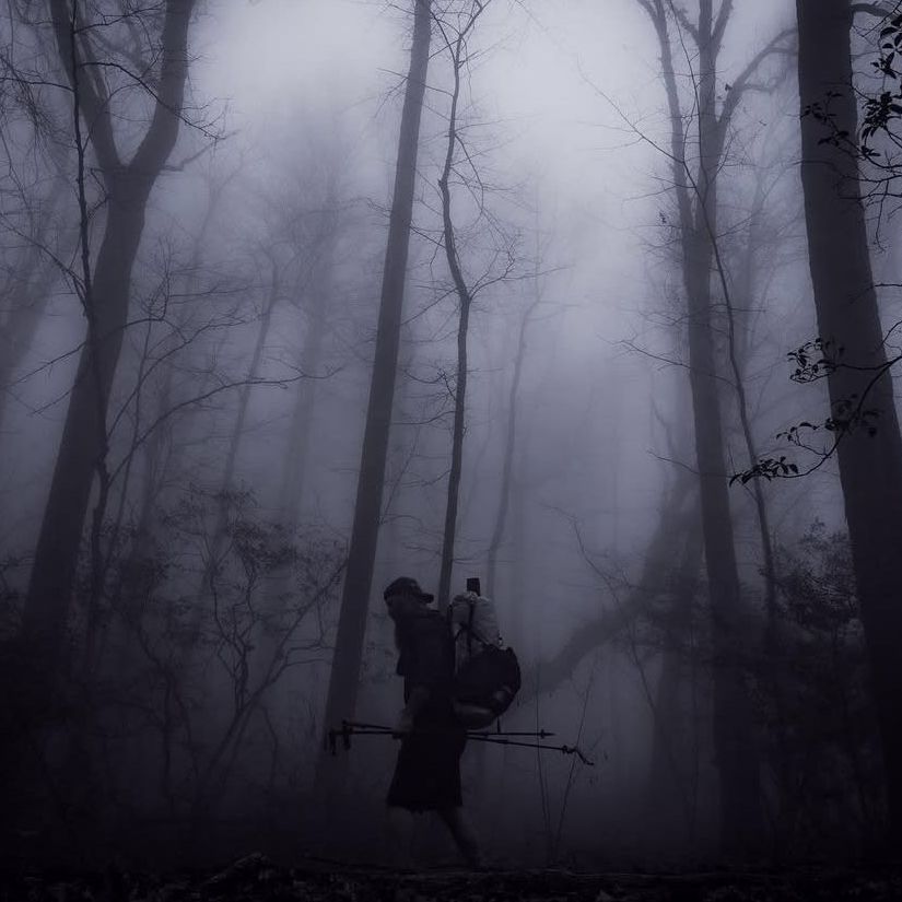 A person with a backpack is walking through a foggy forest