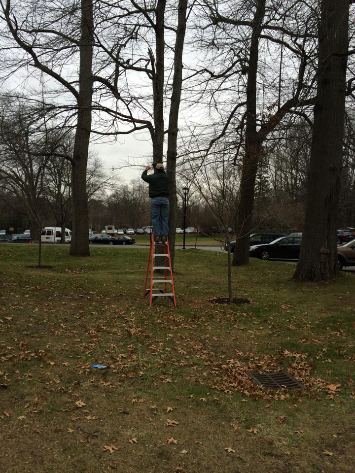 man on ladder outside