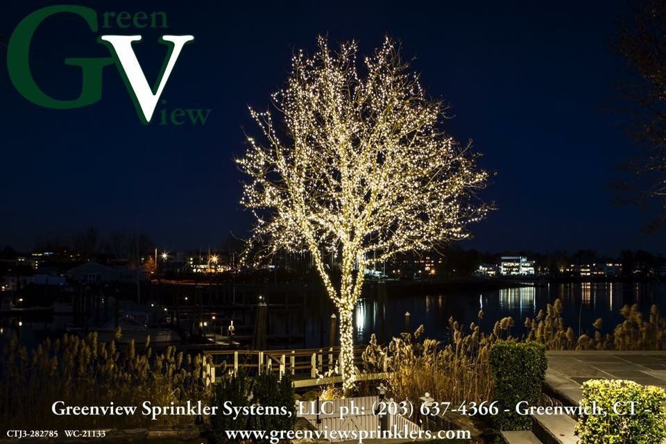 tree with lights on it