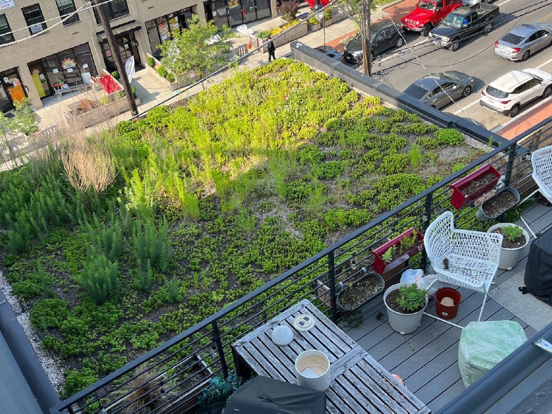 Aerial View - Brookeville, MD - Gold Leaf Group