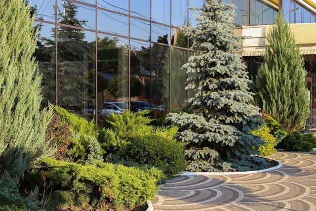 Building With Windows - Brookeville, MD - Gold Leaf Group