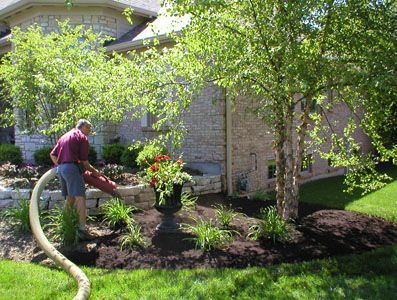 Man Blowing Leaves - Brookeville, MD - Gold Leaf Group