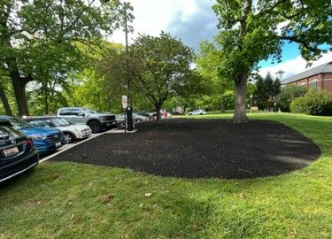 Man Spraying Tree - Brookeville, MD - Gold Leaf Group