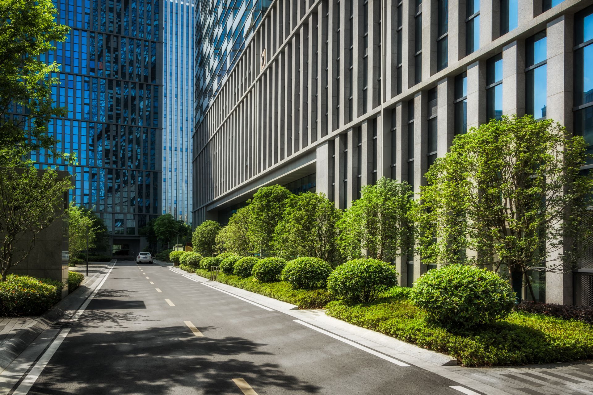 Green Lawn - Brookeville, MD - Gold Leaf Group