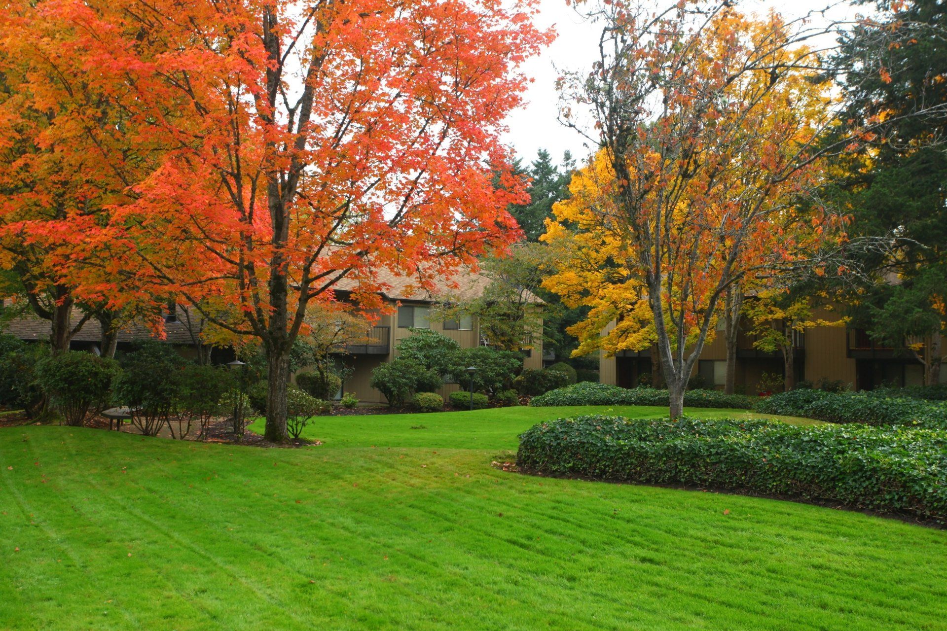 Home Northgreen Apartments Eugene, OR