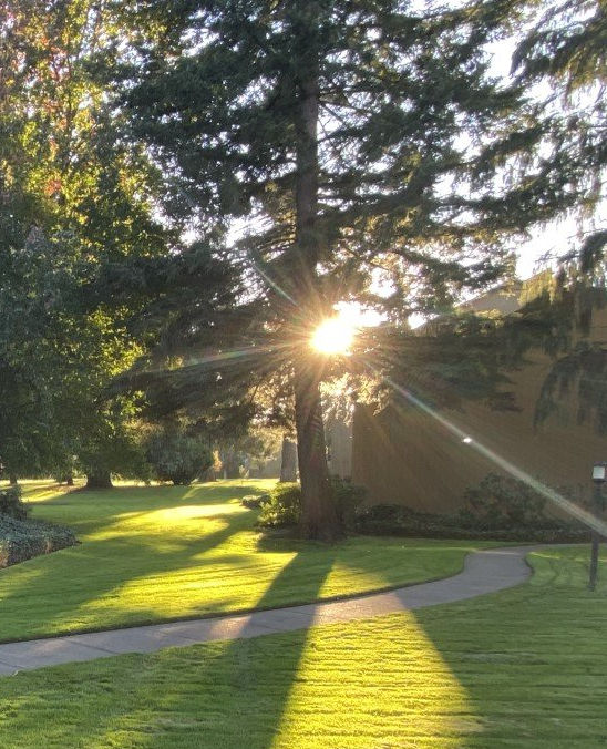 Home Northgreen Apartments Eugene, OR