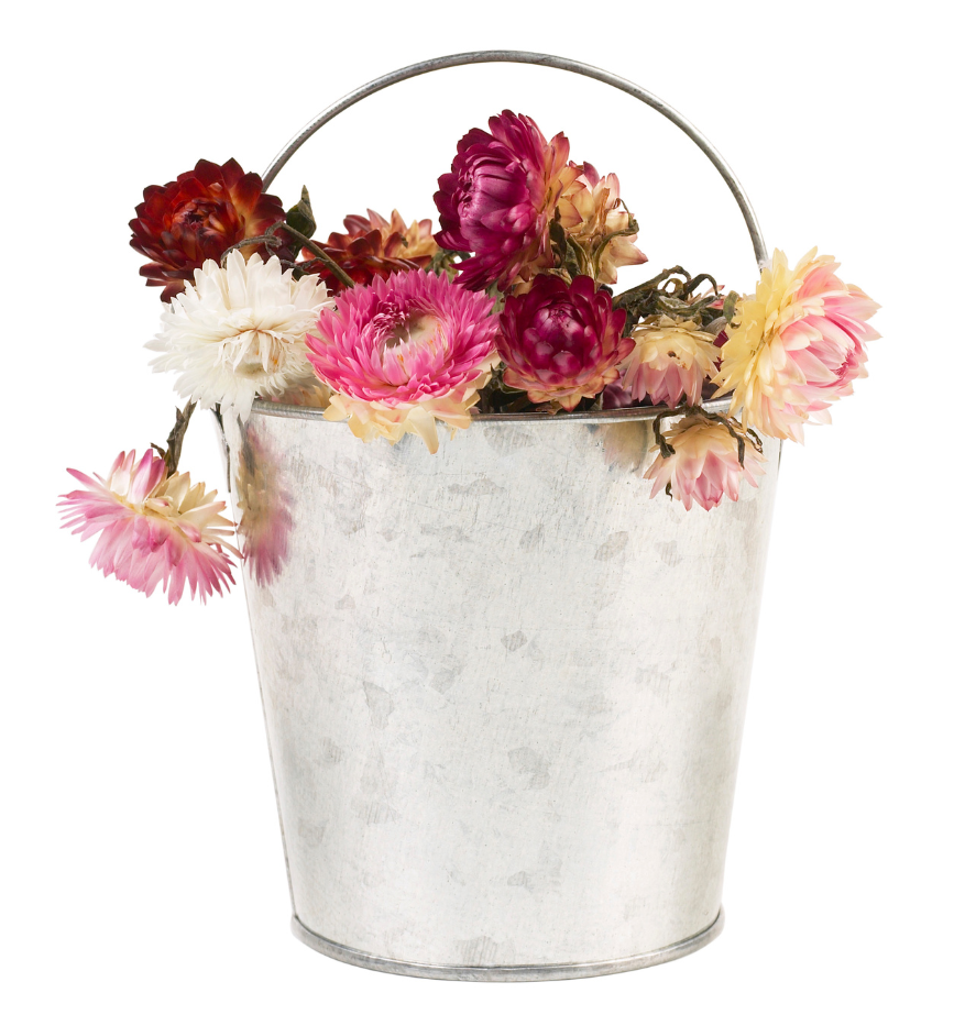 A metal bucket filled with flowers on a white background