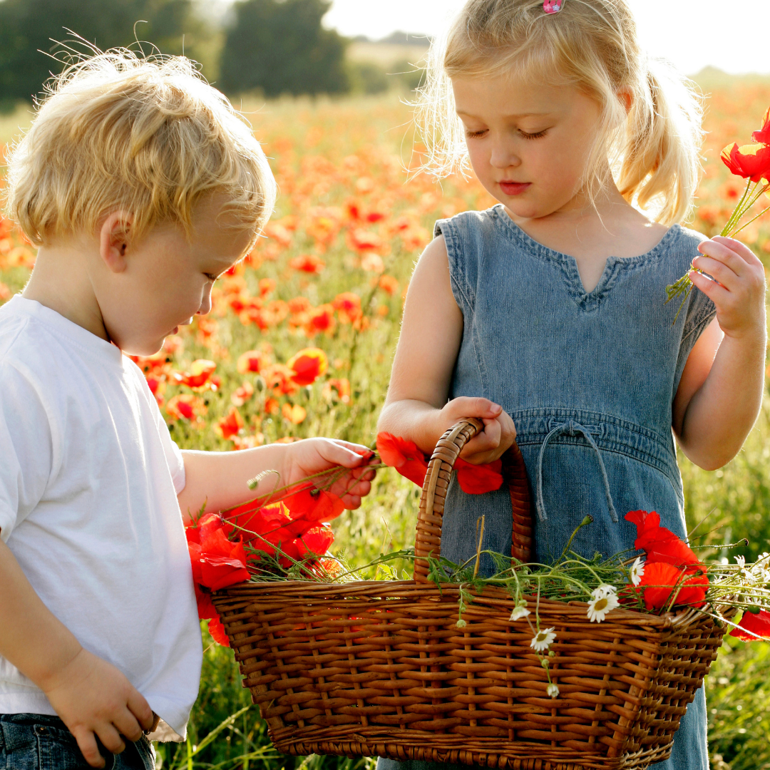 A boy and a girl are picking flowers in a field