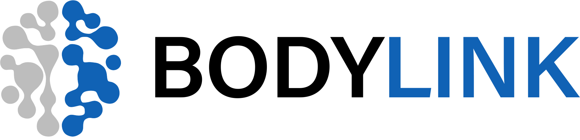 BODYLINK logo with blue and gray connected dots and black-blue text