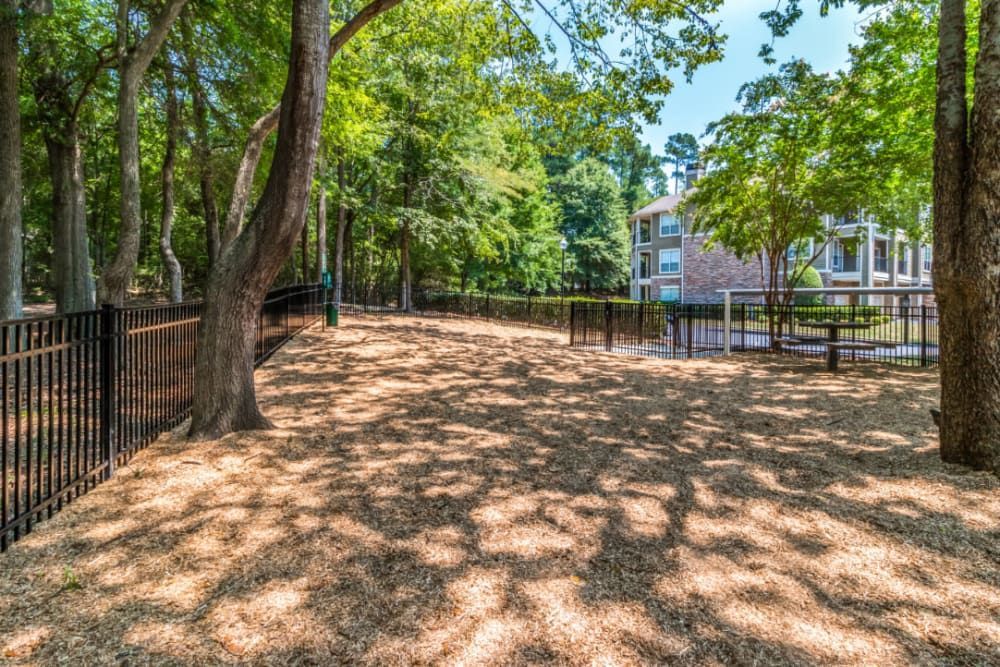 a dog park with a fence and trees in the background at Marquis Carmel Commons in Charlotte, NC.