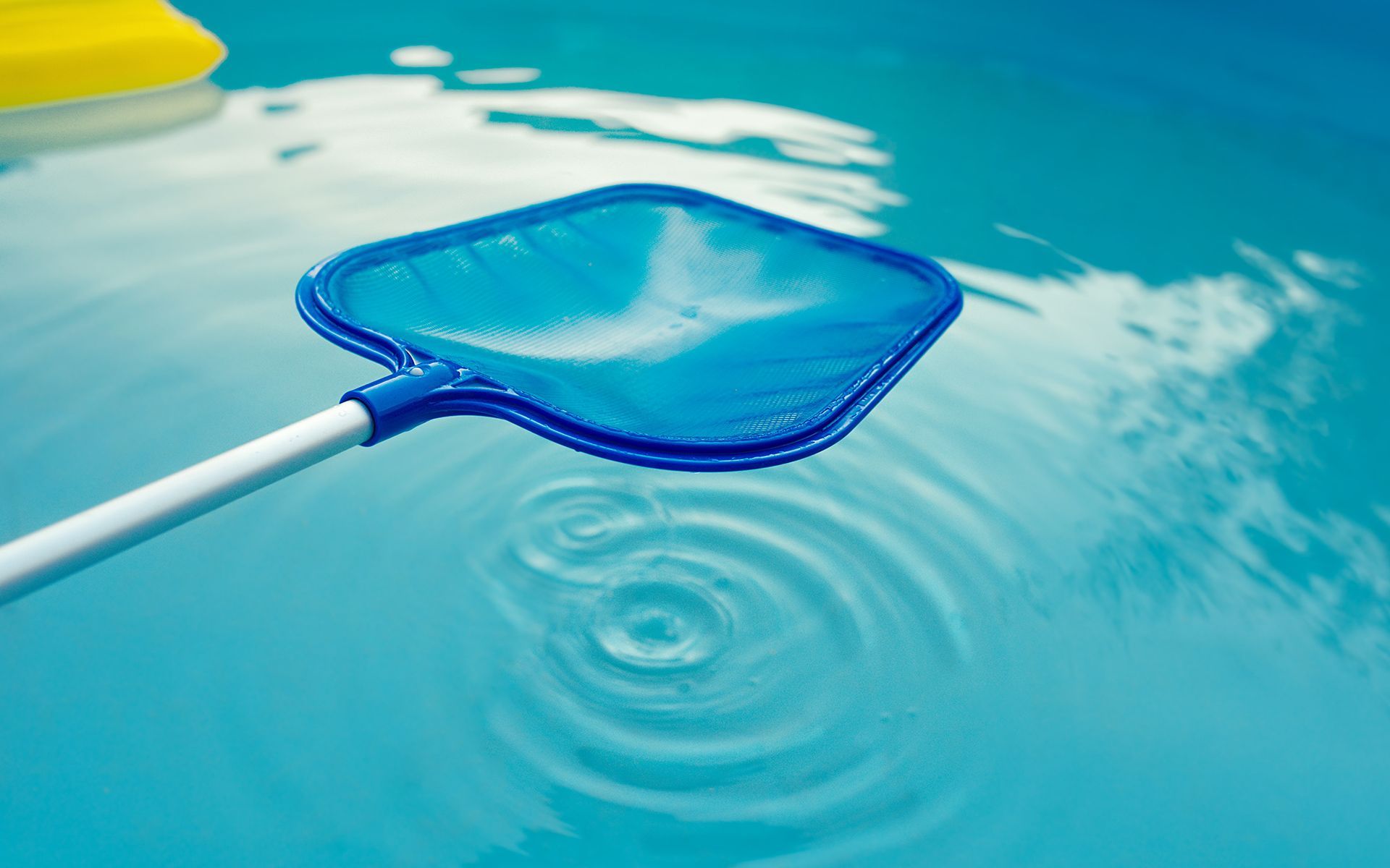 Blue pool net skimming turquoise water.