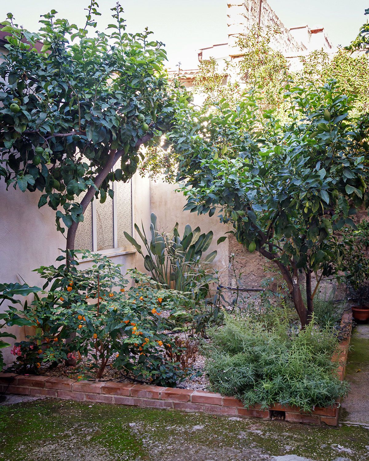 appartamento vacanze Arancio, Mondragone